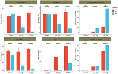 The rhizosphere microbiome improves the adaptive capabilities of plants under high soil cadmium conditions